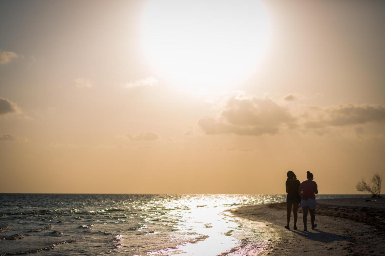Tropical By Mij Ilha Holbox
